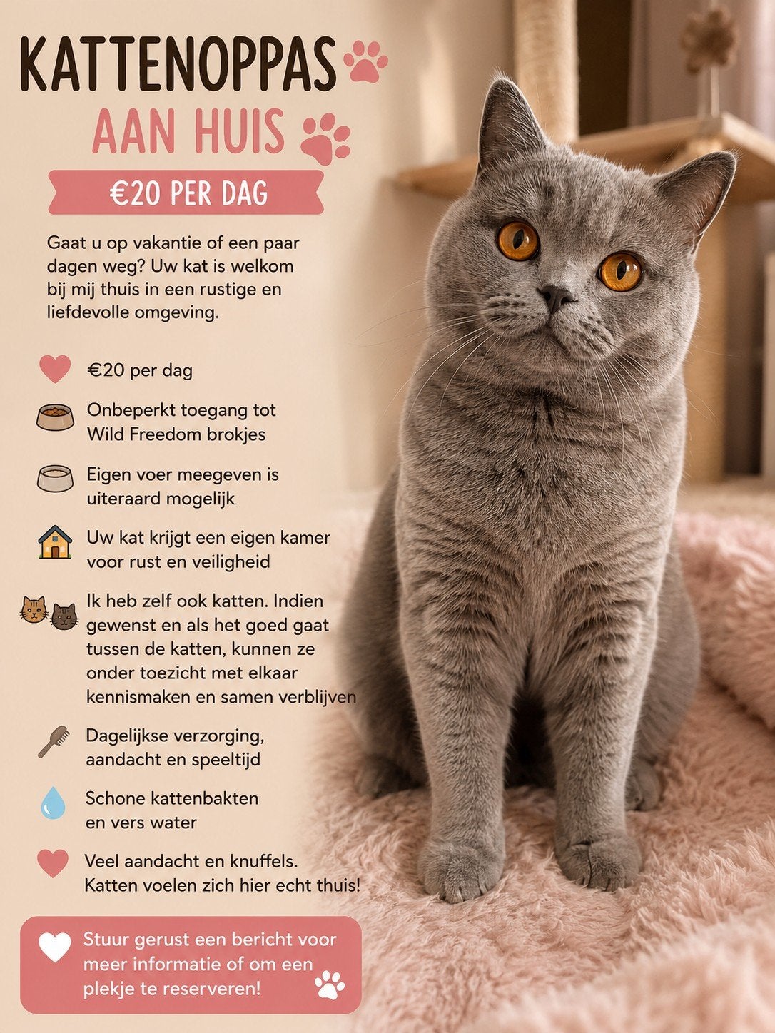 Kattenoppas aan huis