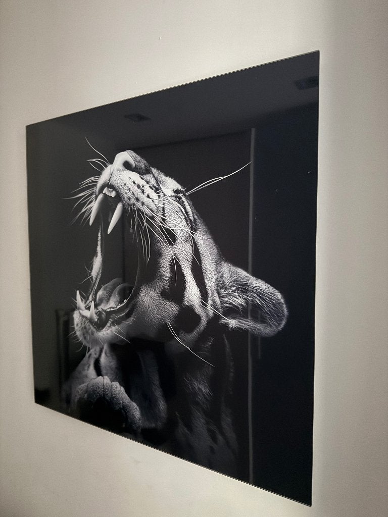 Plexiglass wallart, Huis en Inrichting, Ophalen, Gebruikt, Schilderij, 61 cm