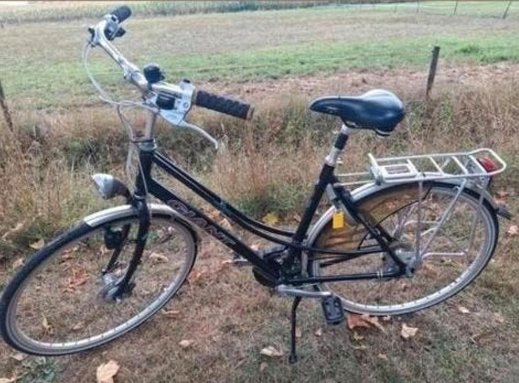 Zgan damesfiets freerider 21 versnellingen, 53 tot 56 cm, Ophalen, Zo goed als nieuw, Versnellingen