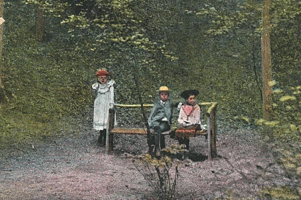 939721 Grebbe Zwitsersche Vallei 1904 Gelopen met zegel, Ophalen of Verzenden, Voor 1920, Gelopen, Gelderland