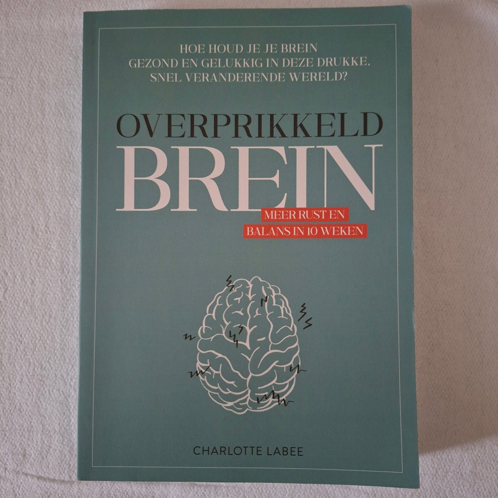 Charlotte Labee - Overprikkeld brein, Ophalen of Verzenden, Zo goed als nieuw, Charlotte Labee