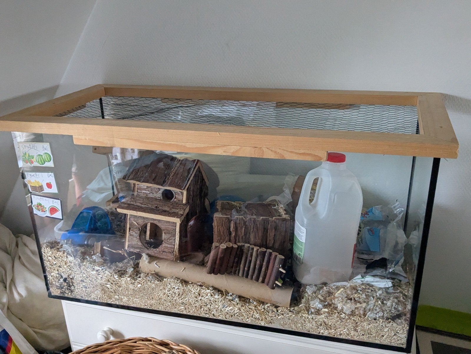 hamster hok, Dieren en Toebehoren, Zo goed als nieuw, Muis, Hok, 75 tot 110 cm
