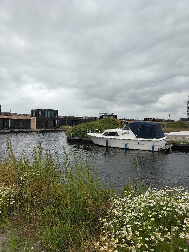 Excellent 800 nu van €11.995,- nu €9950,- euro, Watersport en Boten, Motorboten en Motorjachten, Gebruikt, Polyester, Diesel, Binnenboordmotor