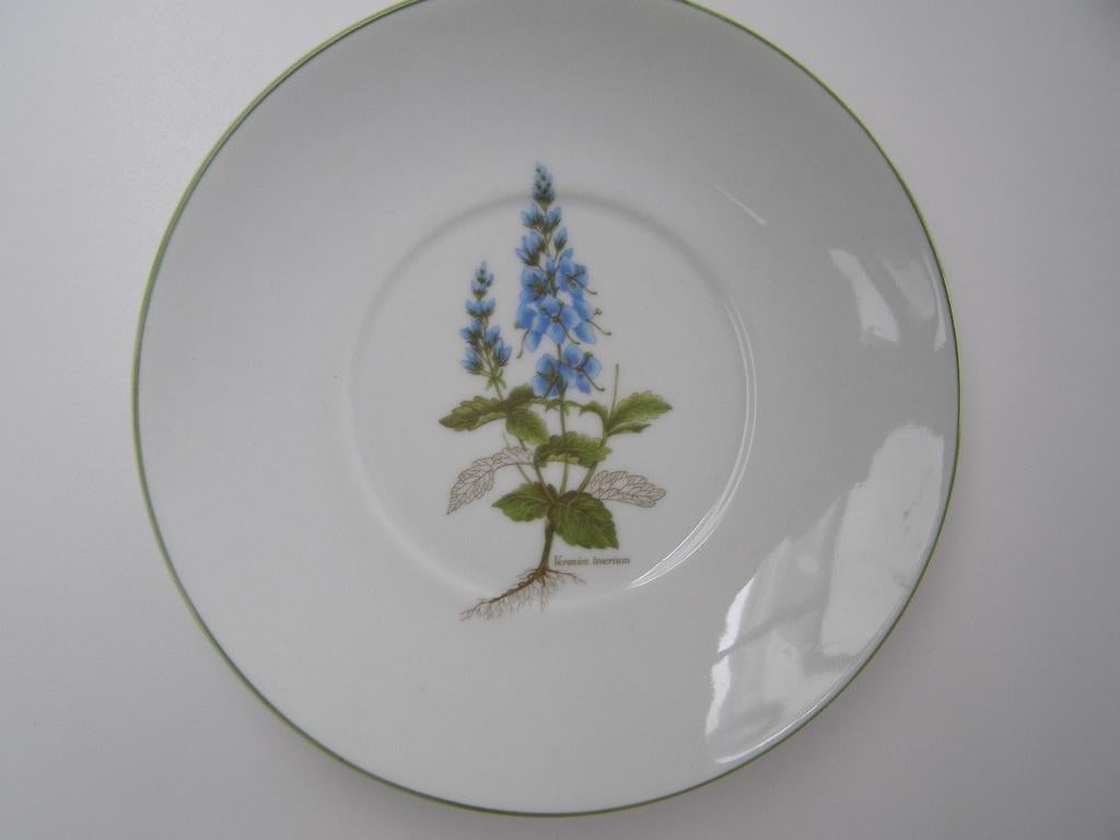 Schotel porselein Veronica Teocrium, Ophalen, Nieuw, Overige stijlen, Kop(pen) en/of Schotel(s)