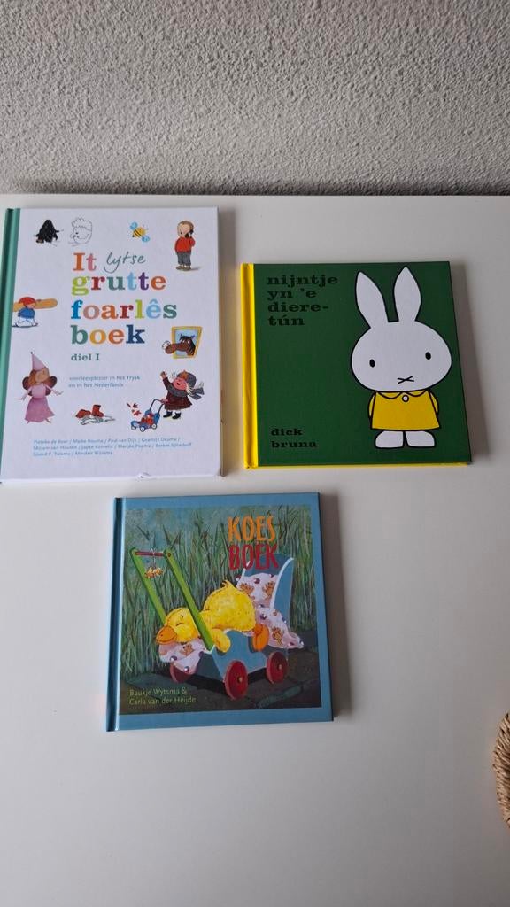 Nijntje en andere voorleesboeken (Fries en Nederlands), Fictie algemeen, Jongen of Meisje, Ophalen of Verzenden, Zo goed als nieuw