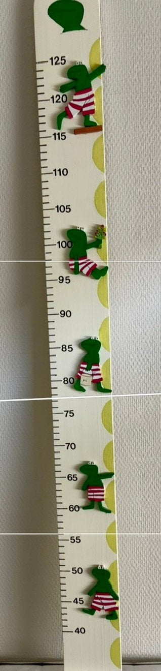 Te koop, Groeimeter Kikker. € 15,,00, Ophalen of Verzenden, Zo goed als nieuw, Overige typen