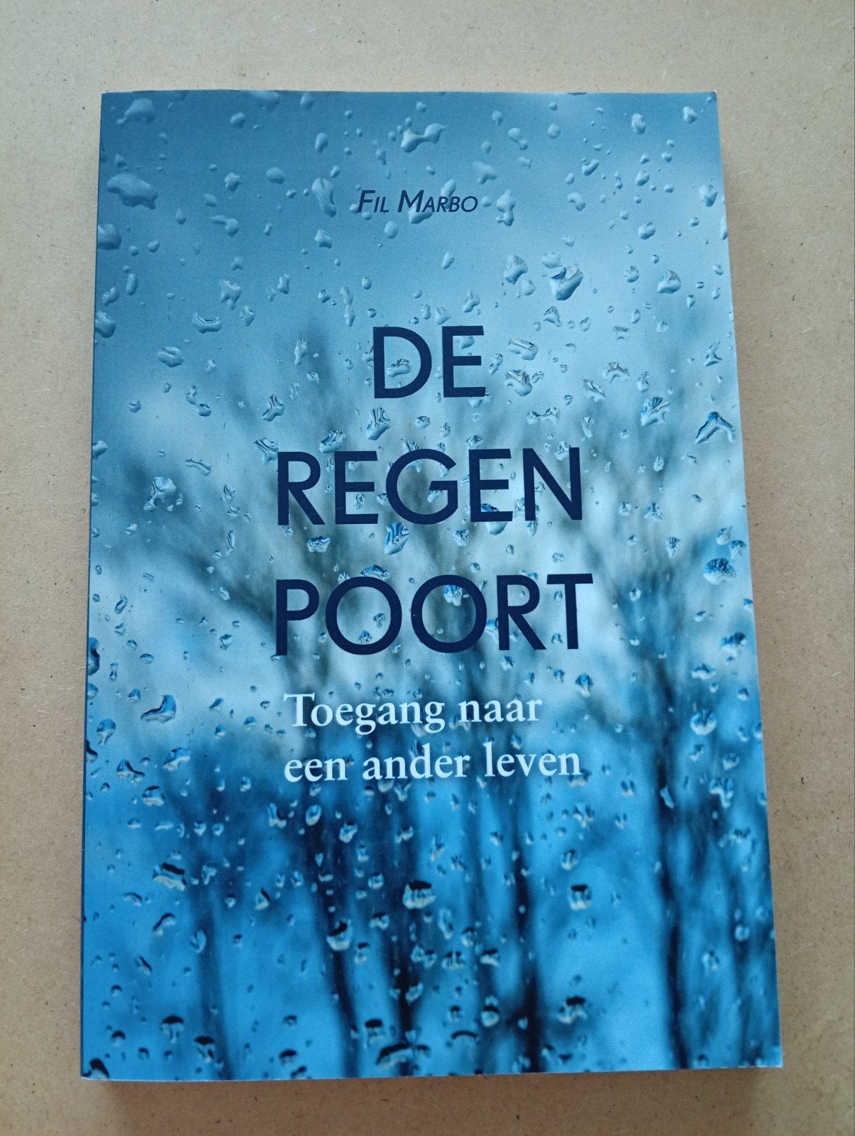 De Regenpoort - Fil Marbo (Boek Scout), Ophalen of Verzenden, Zo goed als nieuw, Nederland, Fil Marbo