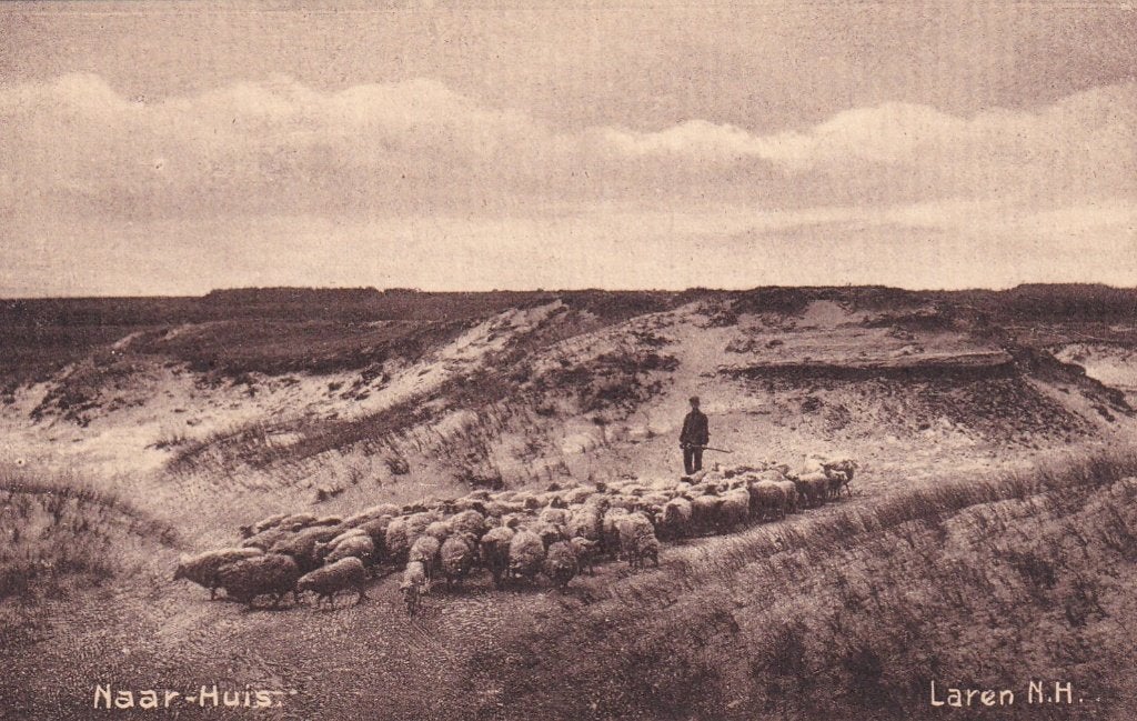 Oude Ansichtkaart Laren N.H. - Schaapherder met kudde, Verzamelen, Ophalen of Verzenden, Voor 1920, Ongelopen, Noord-Holland