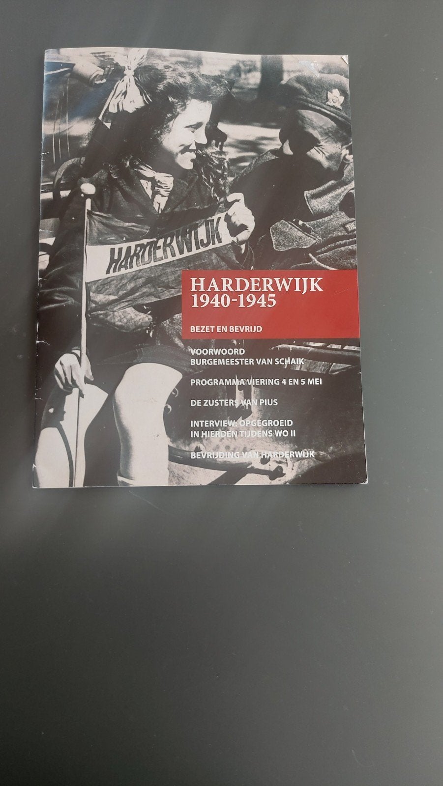 Harderwijk Bezet en Bevrijd 1940-1945 - Historisch Boek, Boeken, Ophalen of Verzenden, 20e eeuw of later, Zo goed als nieuw, Martijn Pijnenburg (voor het hoofdstuk over de Zusters van Pius)