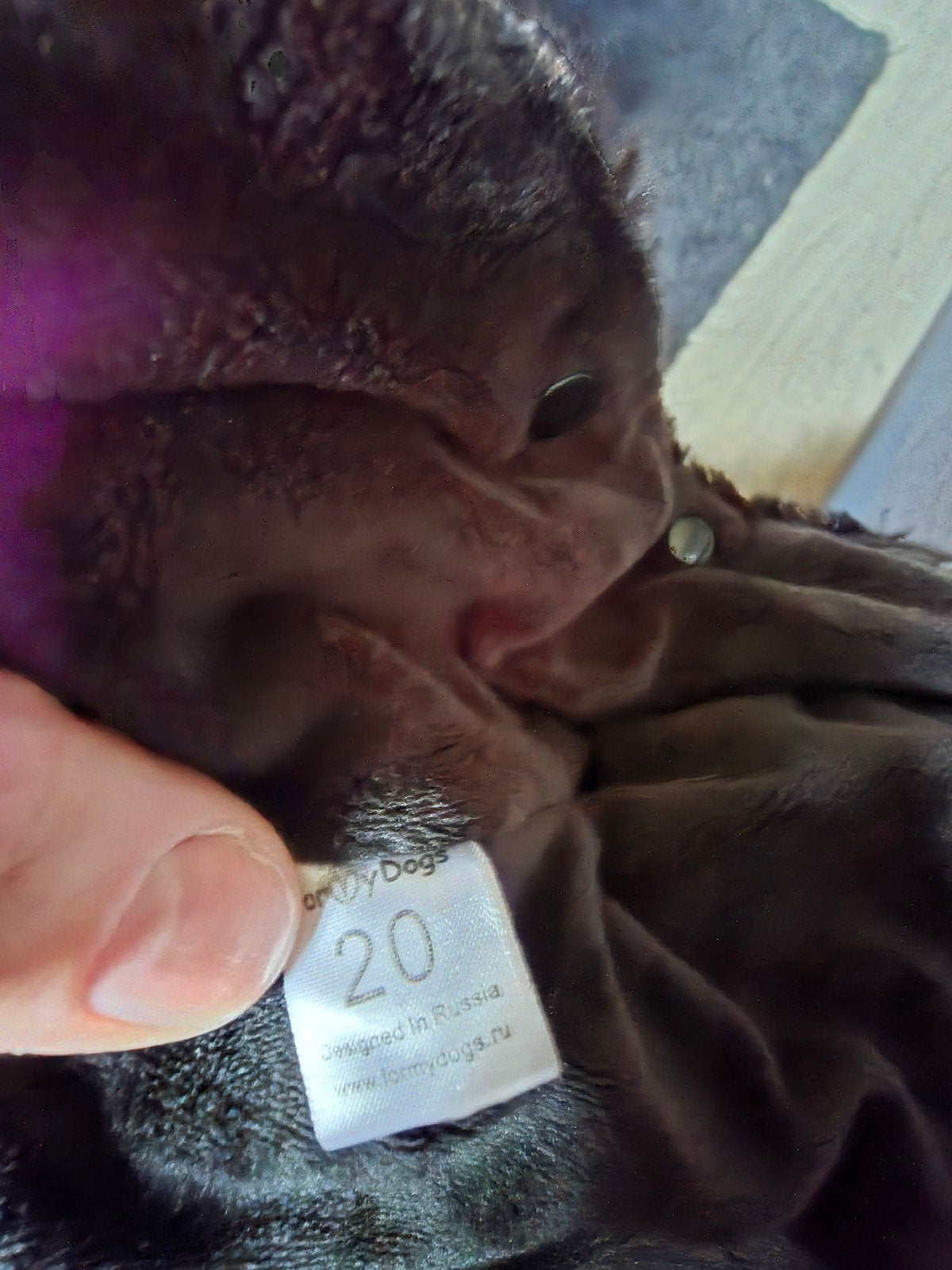 For My Dog zwart hondenpak maat 20 teef, Ophalen of Verzenden