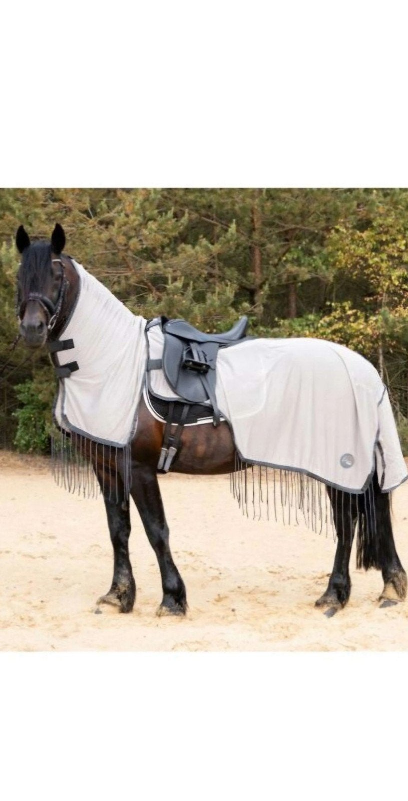 Te koop uitrij vliegen deken, Dieren en Toebehoren, Paarden en Pony's | Dekens en Dekjes, Ophalen
