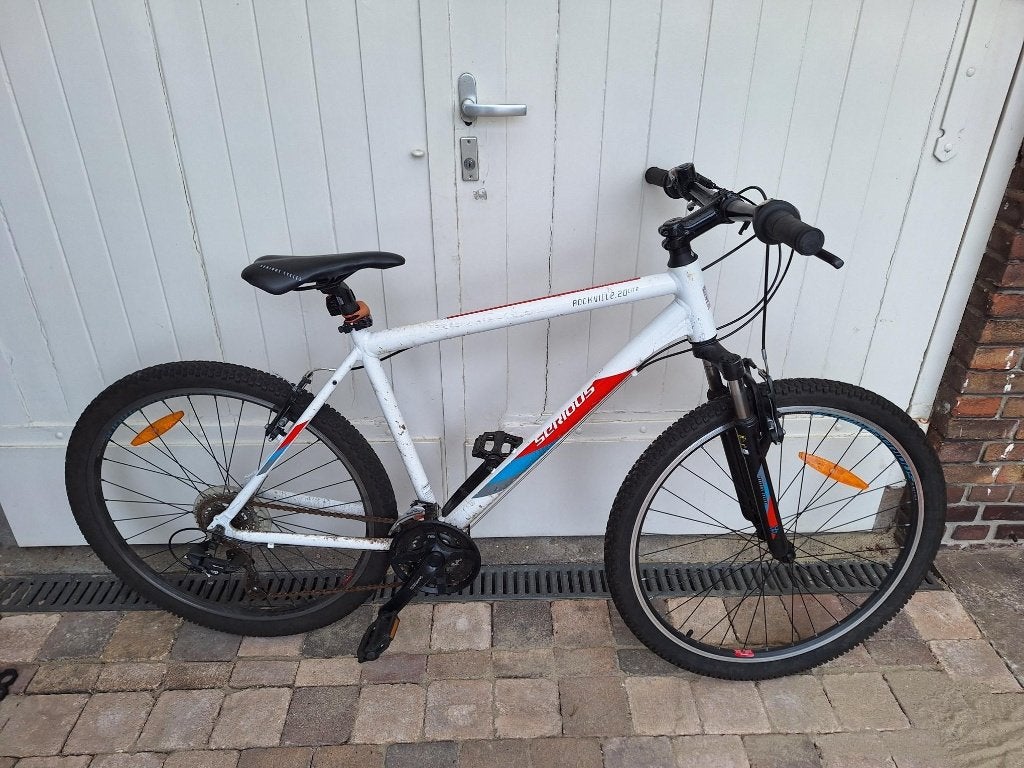 Mountainbike, 28 inch, Gebruikt, 49 tot 53 cm, Meer dan 20 versnellingen