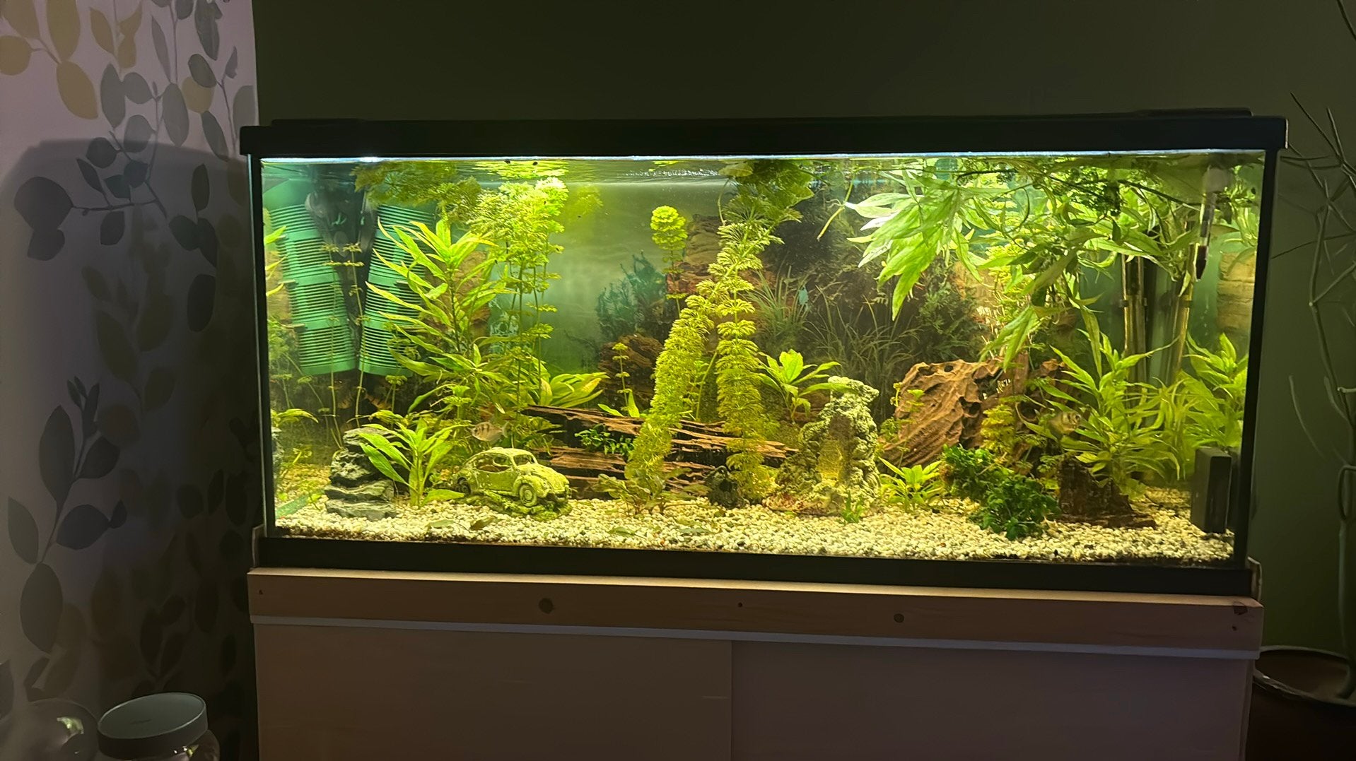 Aquarium, Ophalen, Inclusief vissen, Eheim, Gevuld zoetwateraquarium
