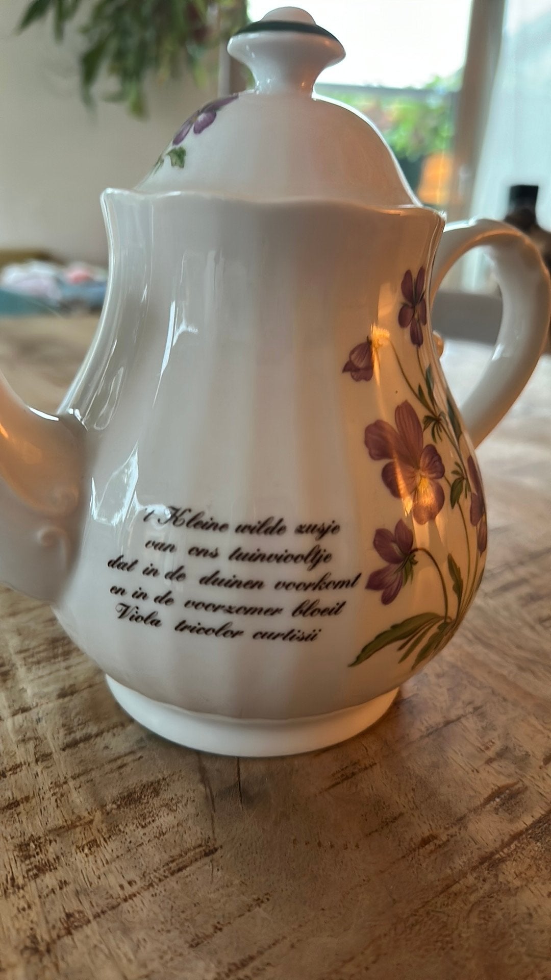 Duinvioolte theepit libelle, Ophalen of Verzenden