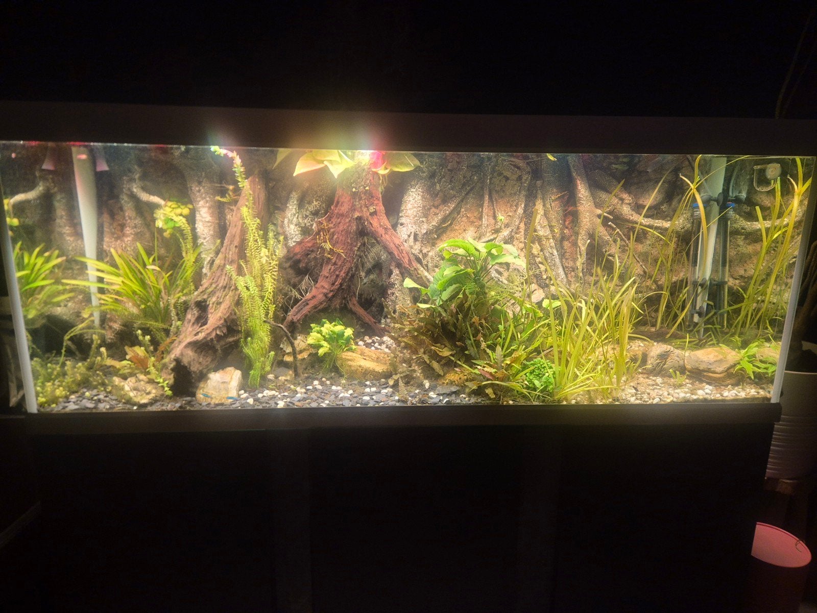 Aquarium Compleet 160×61×64, Ophalen, Overige merken, Inclusief vissen, Gevuld zoetwateraquarium