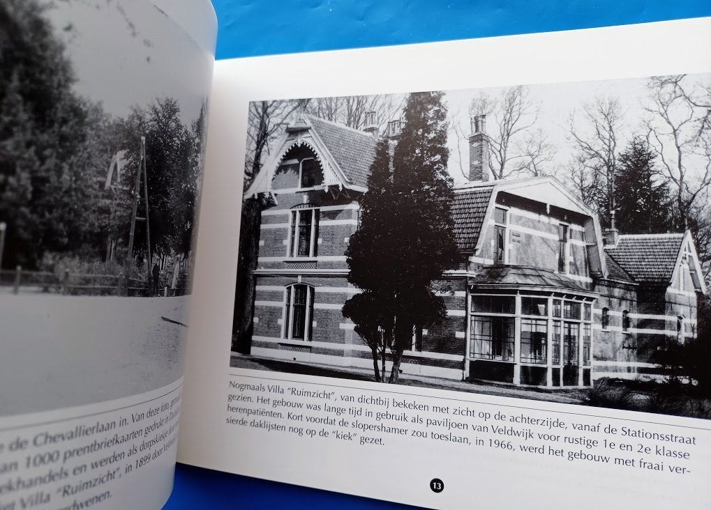 Oud Ermelo te voet van het station naar het Weitje, Boeken, Geschiedenis | Stad en Regio, Verzenden, Zo goed als nieuw