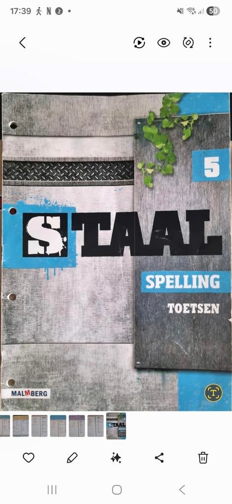 Compleet set Staal spelling toetsen voor groep 5, 6, 7, Boeken, Schoolboeken, Ophalen of Verzenden, Zo goed als nieuw, Overige niveaus