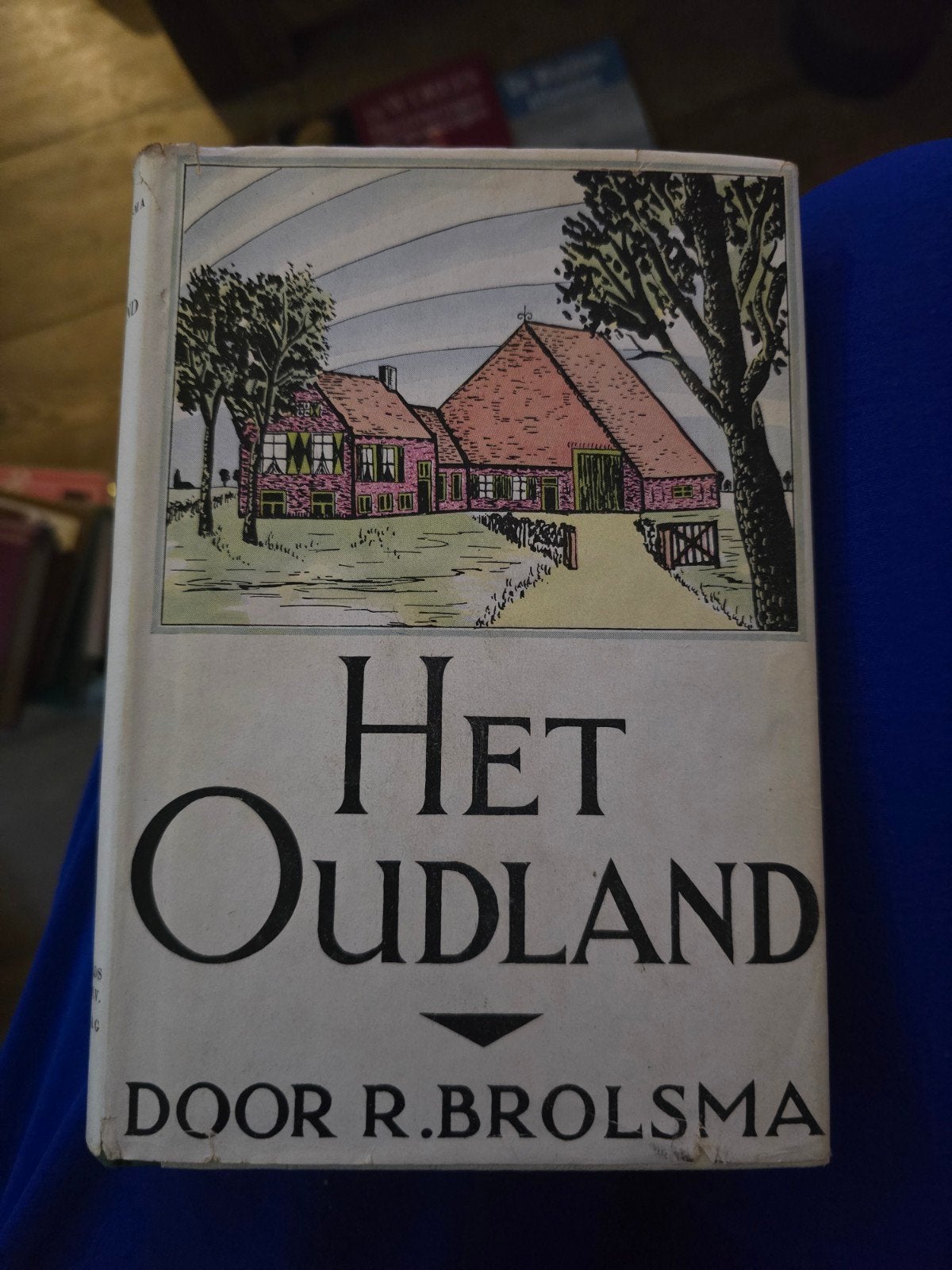 Het Oudland - R. Brolsma (1943), Boeken, Ophalen of Verzenden, Gelezen, R. Brolsma, Nederland