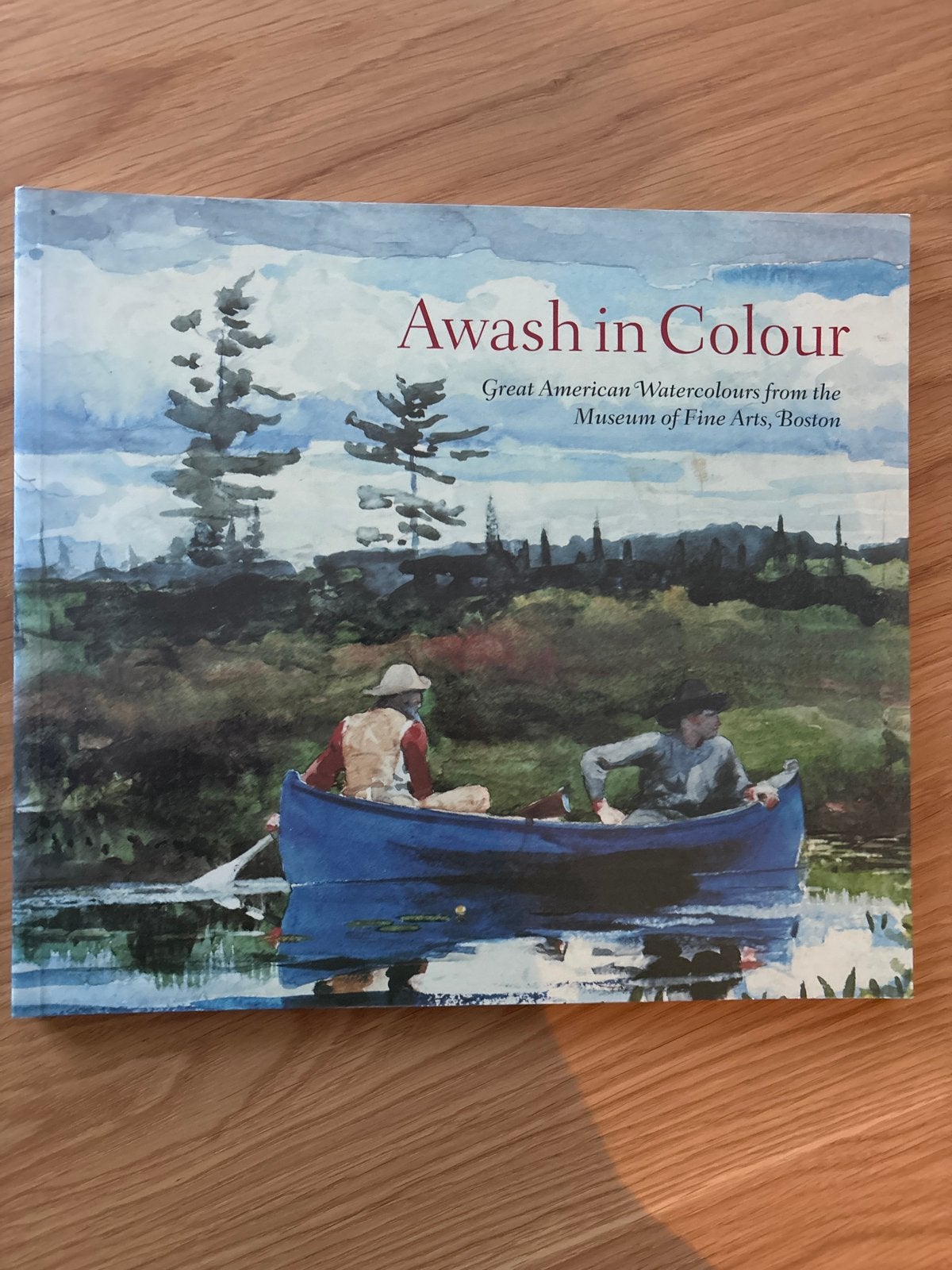 Awash in Colour: Great American Watercolours, Ophalen of Verzenden, Zo goed als nieuw, Schilder- en Tekenkunst