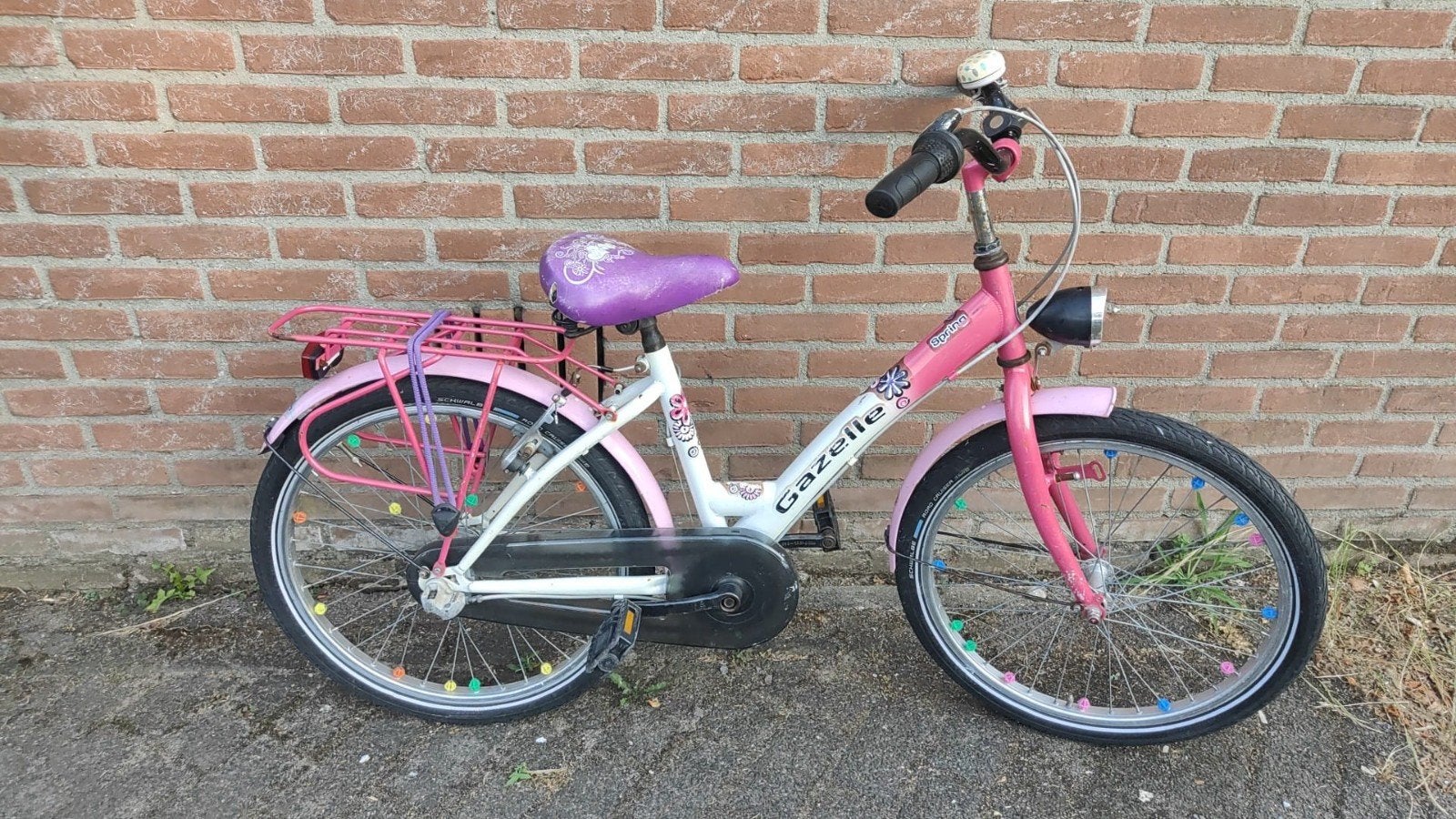 Gazelle spring
22 inch, Ophalen, Gebruikt, 22 inch, Versnellingen