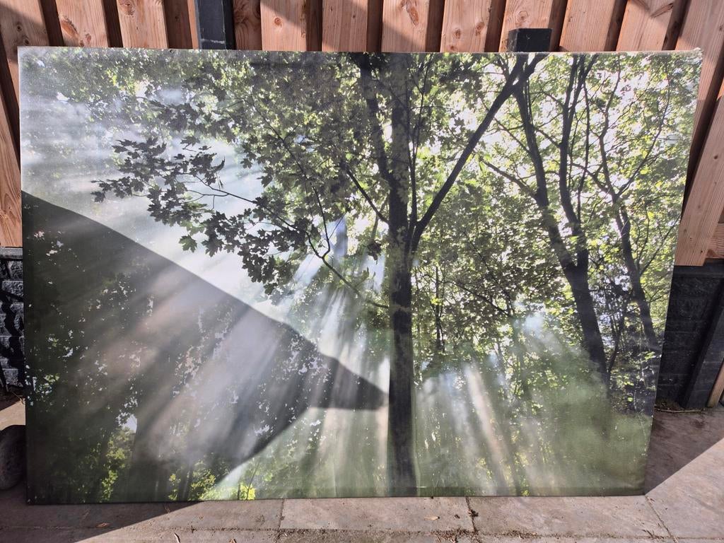 Ikea Canvas schilderij bos met zonnestralen, Huis en Inrichting, Woonaccessoires | Schilderijen, Tekeningen en Foto's, Gebruikt