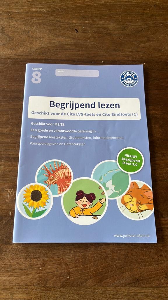 Begrijpend lezen oefenboek Groep 8 Junior Einstein, Boeken, Schoolboeken, Ophalen of Verzenden, Zo goed als nieuw, Overige niveaus