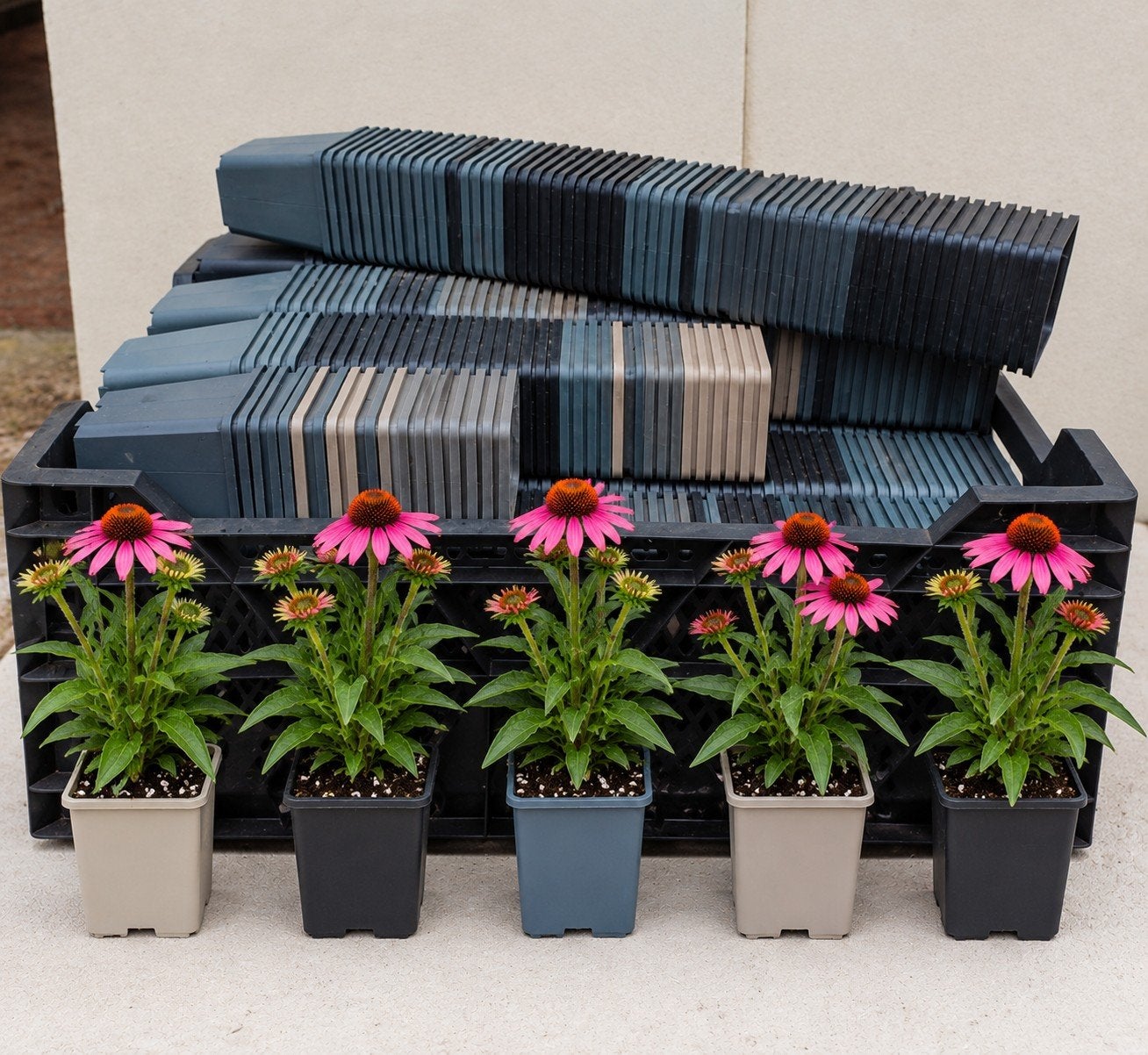 kweekpotten plantenpotten bloempotten p9 9x9x10 cm, Vierkant, Nieuw, Ophalen of Verzenden, Nvt