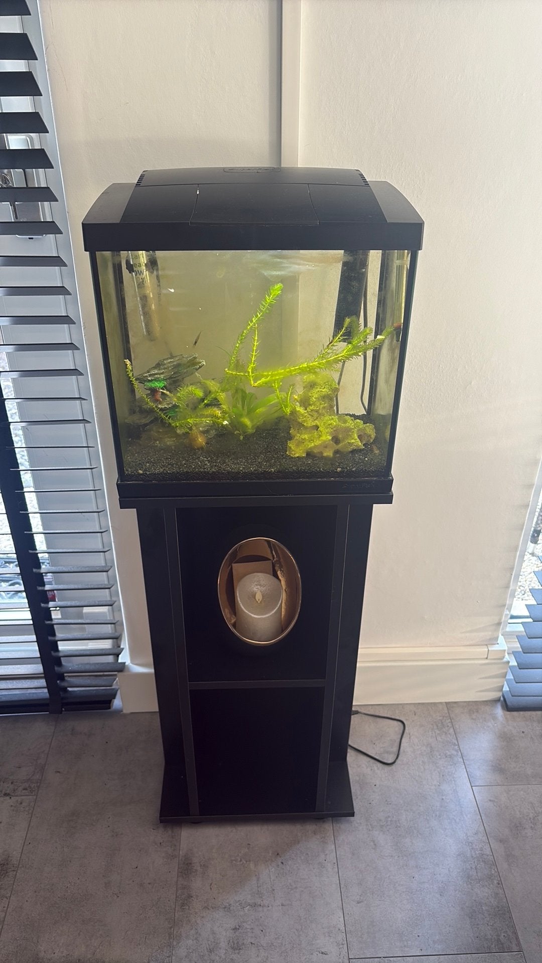 Superfish aquarium met garnalen, Ophalen, Zo goed als nieuw, Gevuld zoetwateraquarium