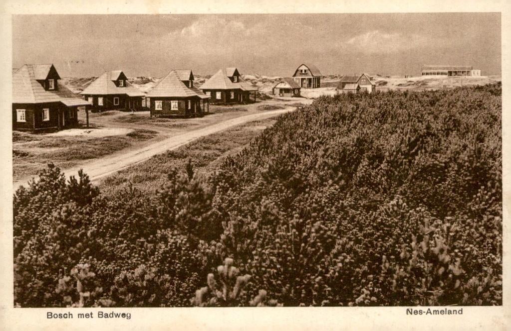 Nes Ameland Bosch met Badweg # 963, Verzenden, 1920 tot 1940, Gelopen, Waddeneilanden
