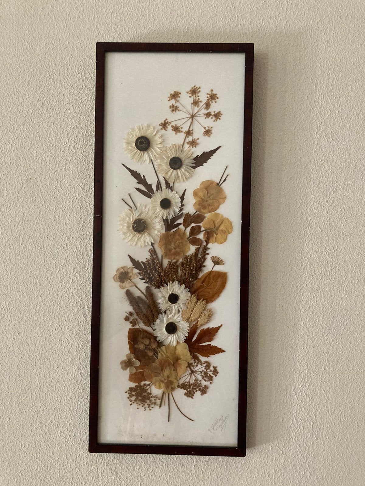 Ingelijste droogbloemen Vintage, 50 – 75, Minder dan 50 cm, Gebruikt, Ophalen of Verzenden