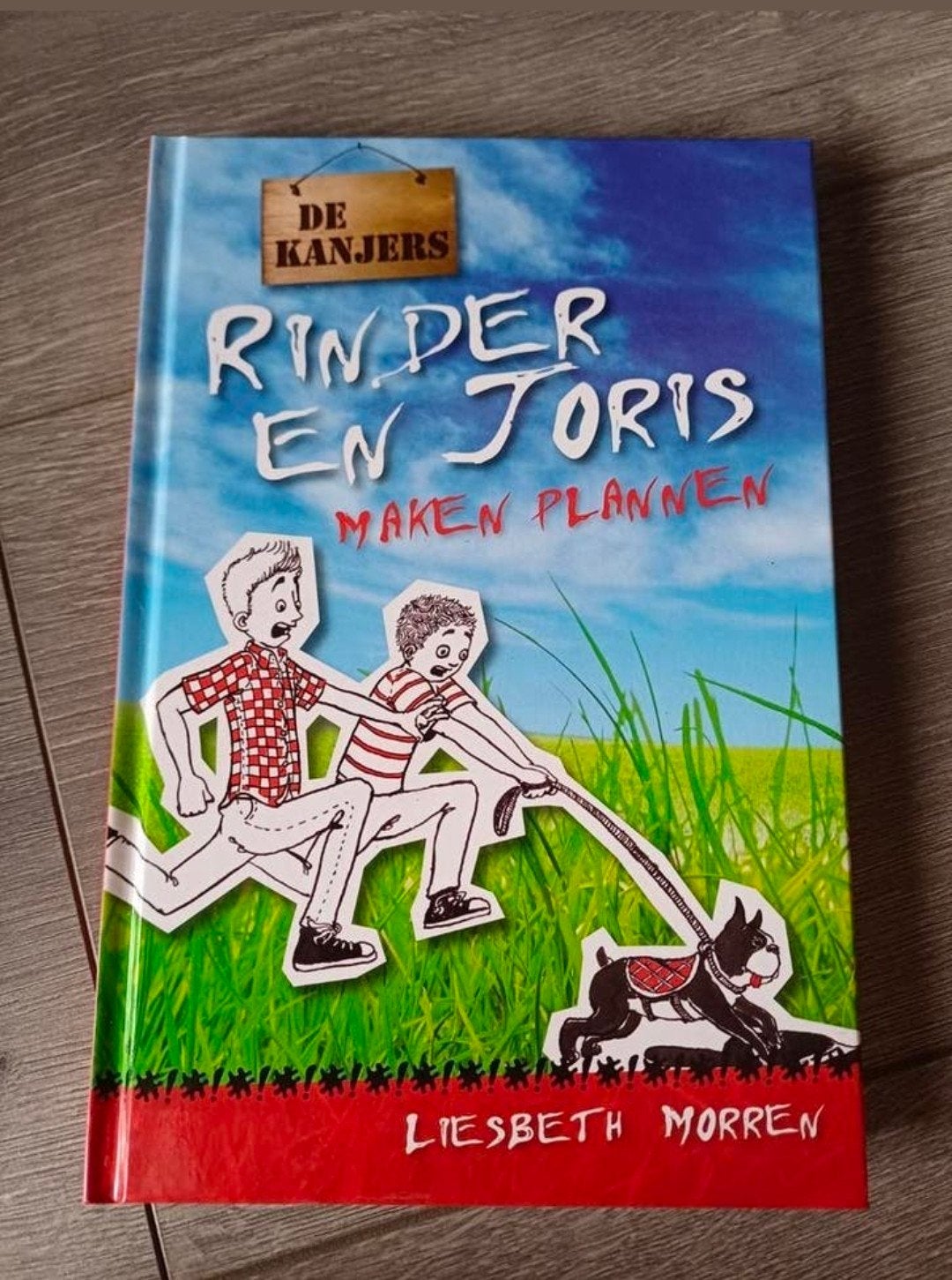Liesbeth Morren - Rinder en Joris maken plannen, Ophalen of Verzenden, Zo goed als nieuw, Liesbeth Morren