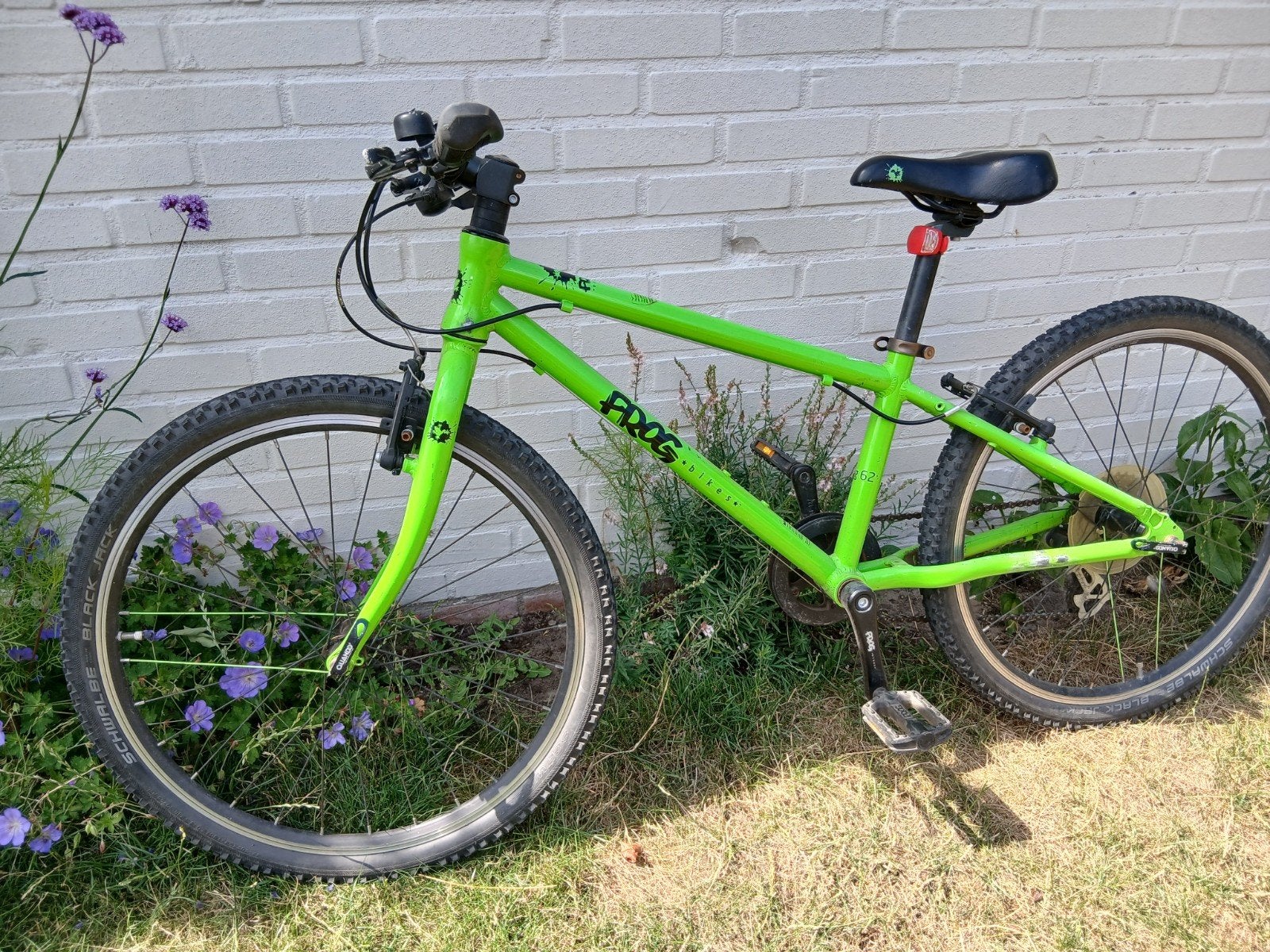 Frog kinderfiets 24 inch- Groen, Velgrem, Frog, Ophalen of Verzenden, 16 tot 20 inch