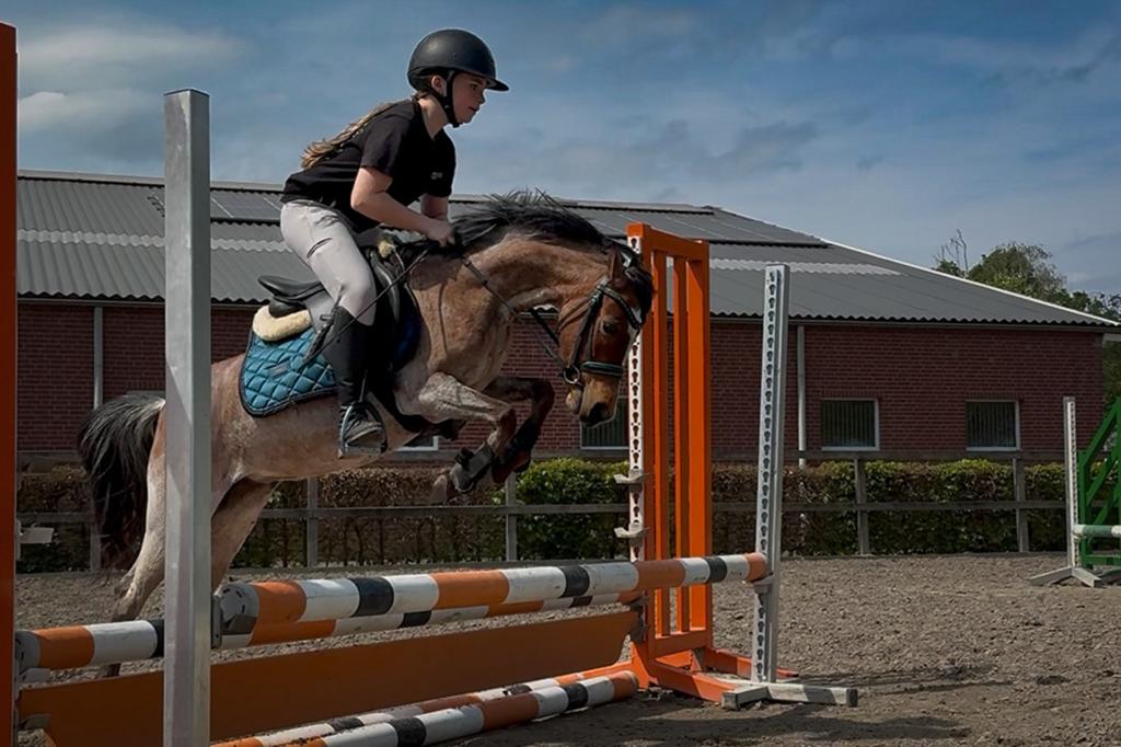 Allround kinder- & sportpony, Dieren en Toebehoren, Pony's, Merrie, B, A pony (tot 1.17m), Springpony, 7 tot 10 jaar, Met stamboom