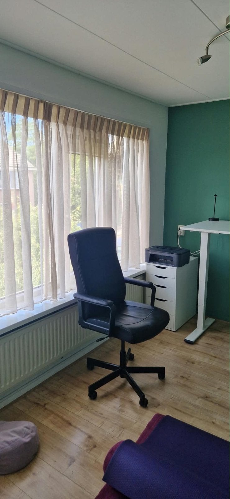 Vitrage Sien Zand - 2 stuks (148,5x145 cm per stuk), Vitrage, Beige, Nieuw, Ophalen of Verzenden