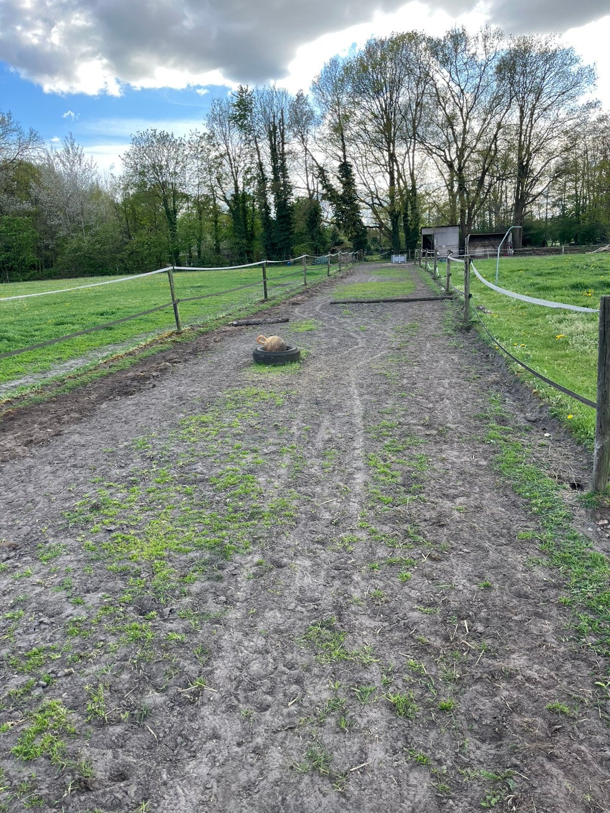 Weidegang ruin, Weidegang, 1 paard of pony