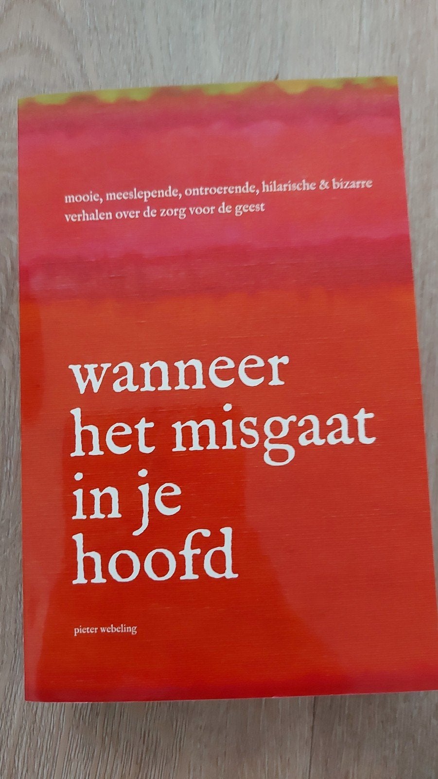 A1: Wanneer het misgaat in je hoofd - Pieter Webeling, Boeken, Psychologie, Ophalen of Verzenden, Gelezen, Klinische psychologie