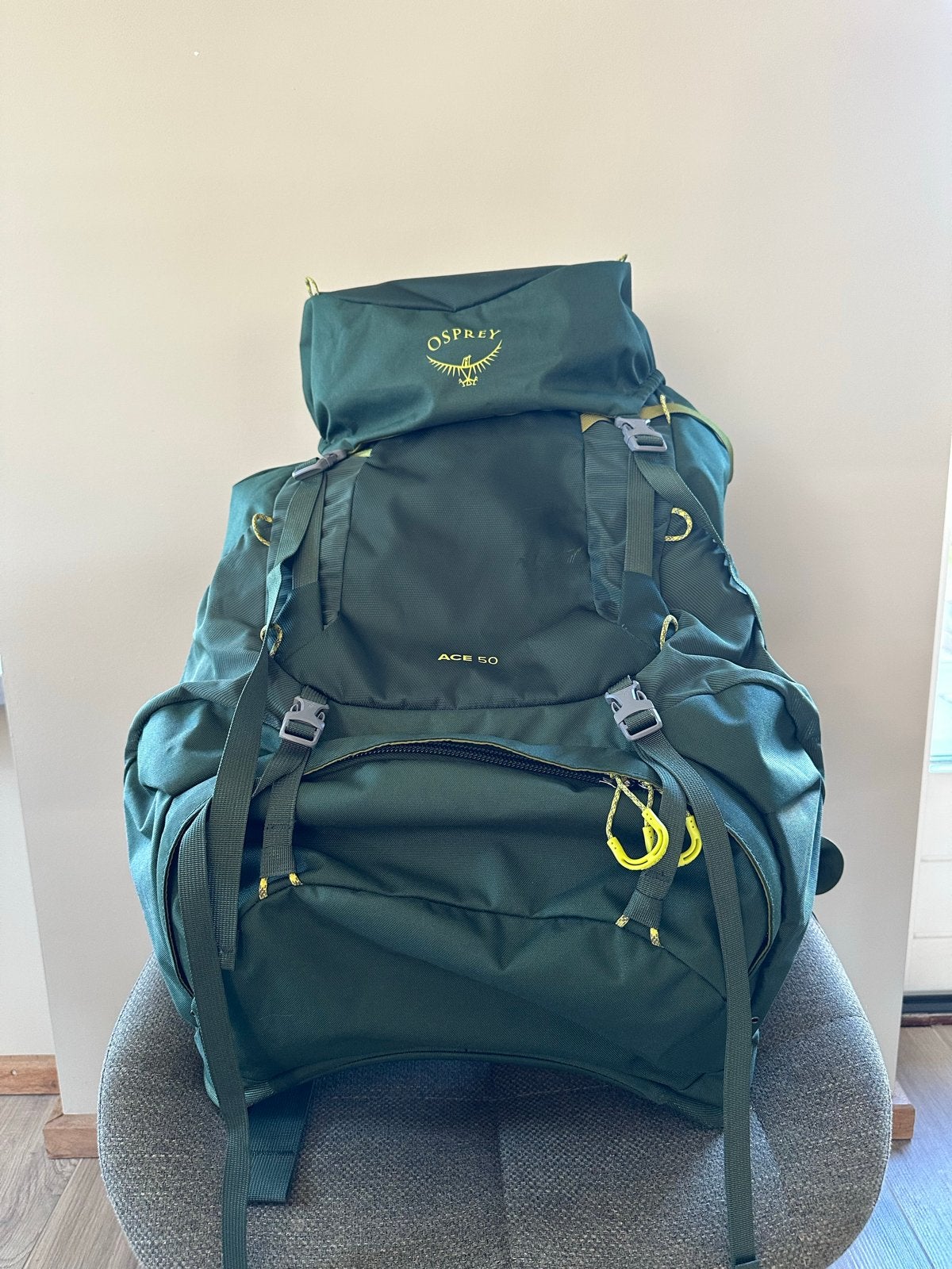 Osprey Ace 50 kinderbackpack - Groen, Overige merken, Gebruikt, 25 tot 40 cm, Ophalen of Verzenden
