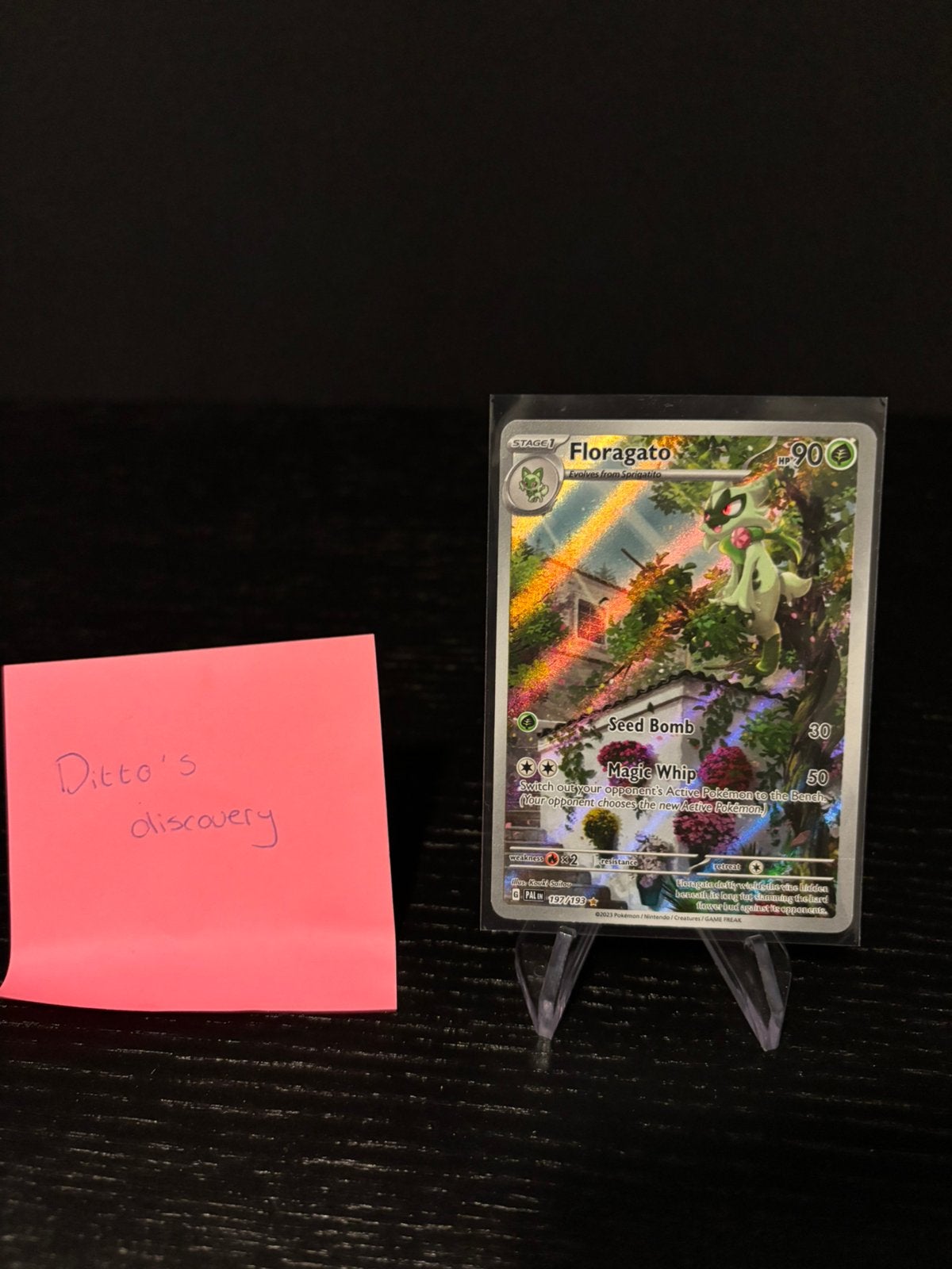 Pokemon - Floragato - PAL197 - Paldea Evolved - NM, Ophalen of Verzenden, Zo goed als nieuw