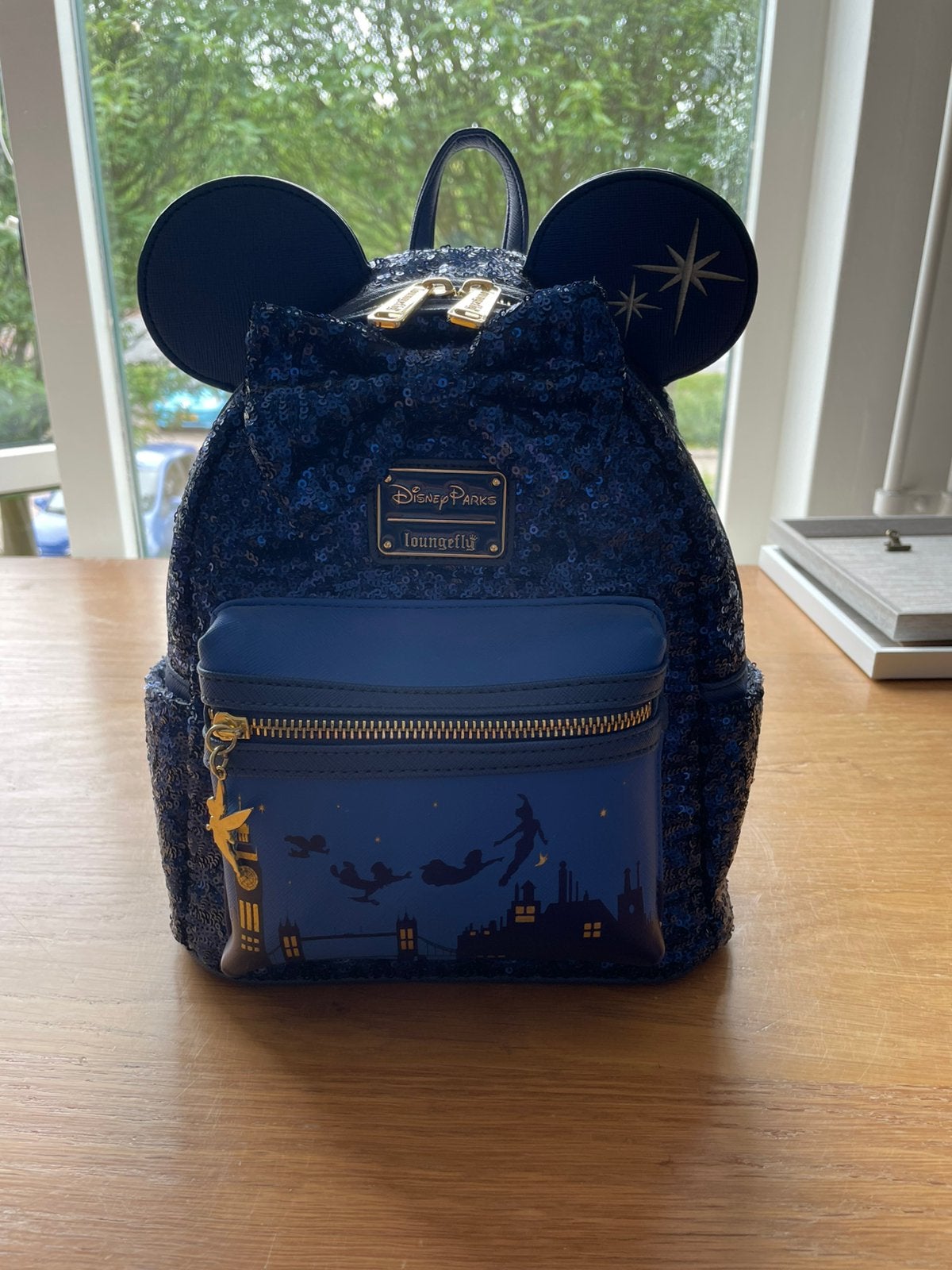 Disney Loungefly rugzak peter pan Limited Edition, Ophalen of Verzenden, Zo goed als nieuw, Overige merken, 30 tot 45 cm