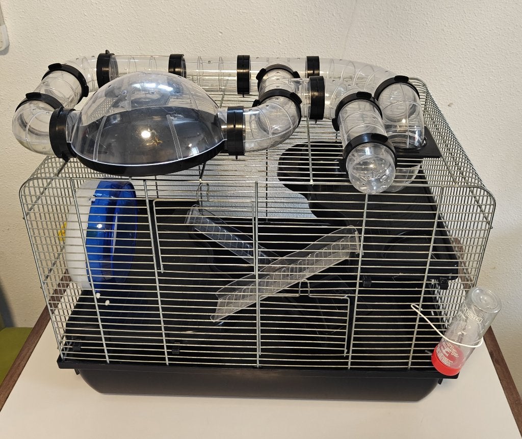 Mooie Hamster Kooi met Accessoires, Kooi, Gebruikt, Minder dan 75 cm, Chinchilla