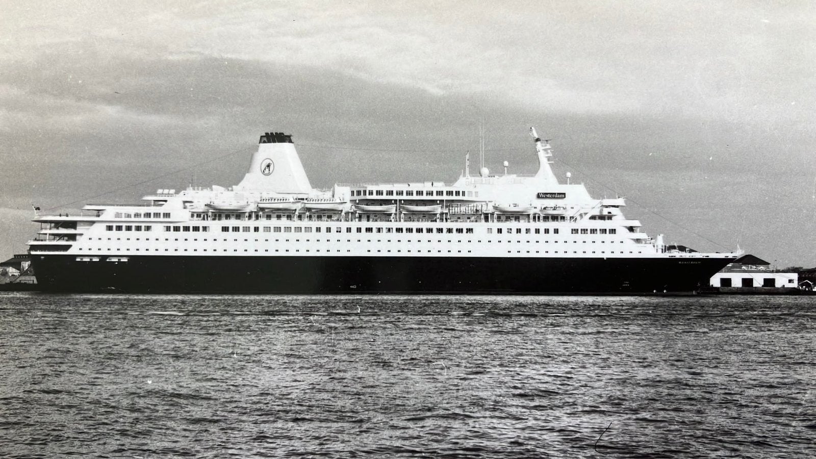 HAL   Westerdam '86 Foto 1989 ONVERLENGD !!, Verzamelen, Ophalen of Verzenden, Zo goed als nieuw