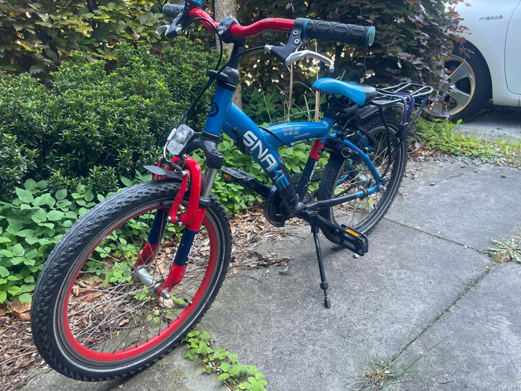 Kinderfiets Batavus Loekie Snake 20 inch - Blauw/Rood, Ophalen, Gebruikt, Terugtraprem, 16 tot 20 inch