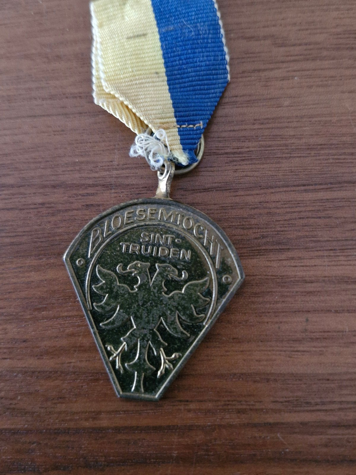 042 Bloesemtocht Sint-Truiden Medaille, Ophalen of Verzenden