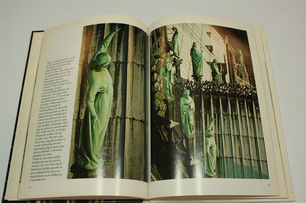 Notre-Dame & Sainte-Chapelle — Parijs Gids & Geschiedenis, Ophalen of Verzenden, Gelezen, Europa