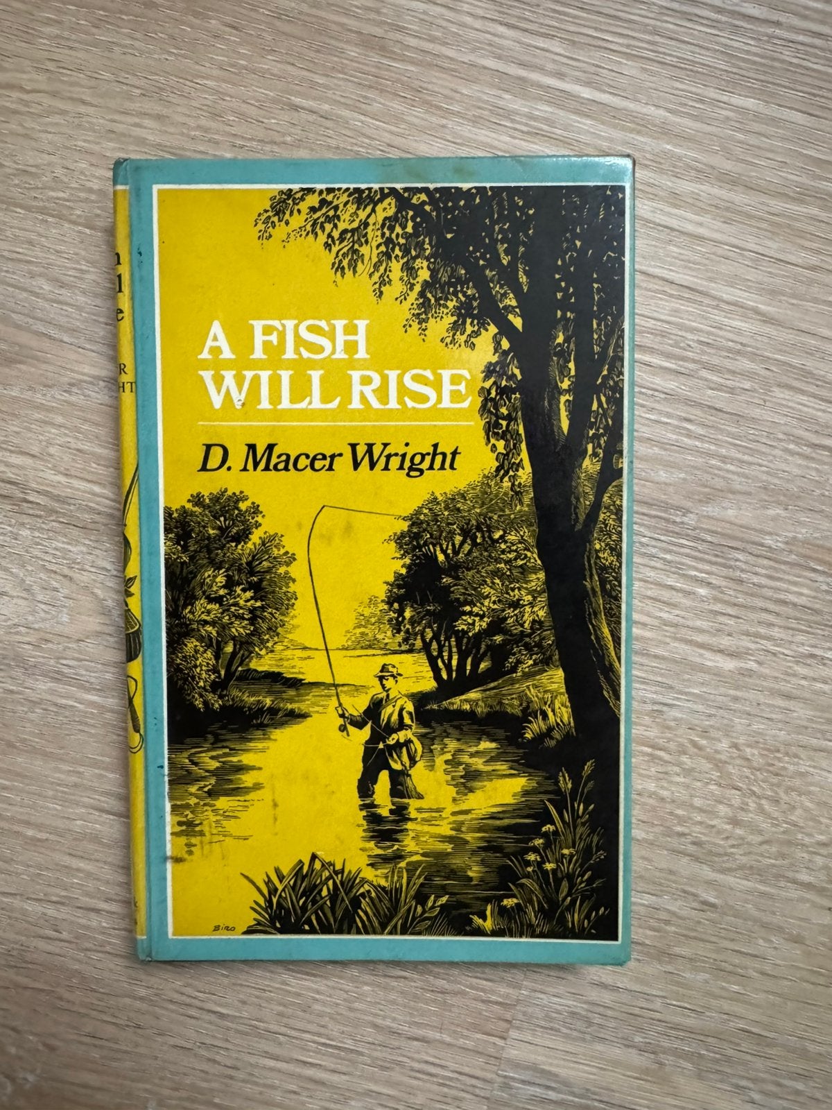A Fish will Rise, Ophalen of Verzenden, Gebruikt