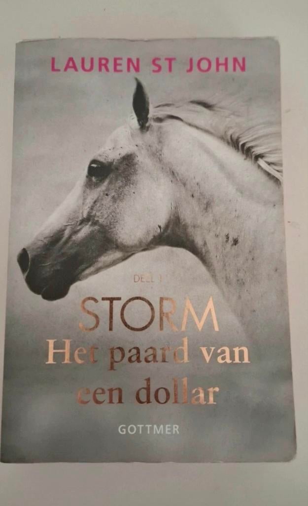 Storm boekenreeks - Lauren St John (deel 1, 2 en 3), Boeken, Ophalen of Verzenden, Overige onderwerpen