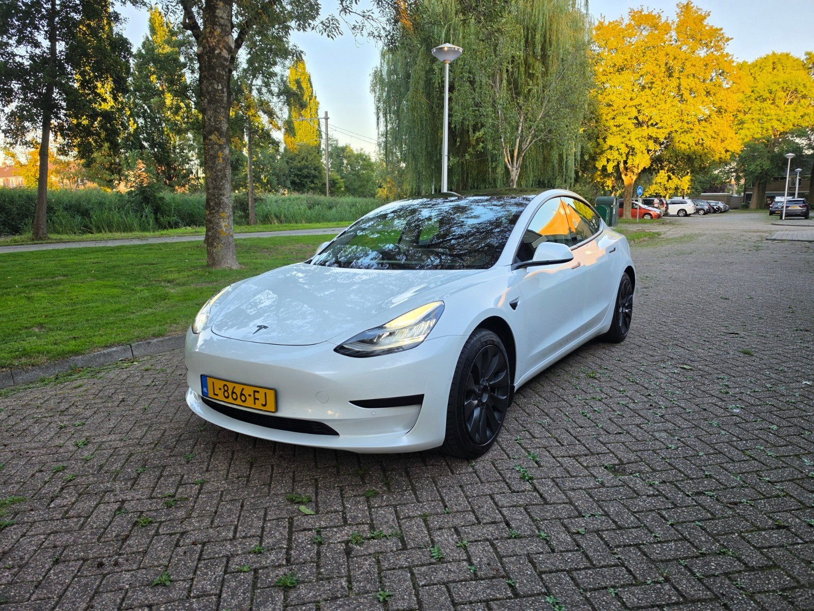 Tesla Model 3 Standard Range Plus | 2020 | Wit | Nieuwe Pire, Auto's, Tesla, Automaat, Achterwielaandrijving, Zwart, Wit