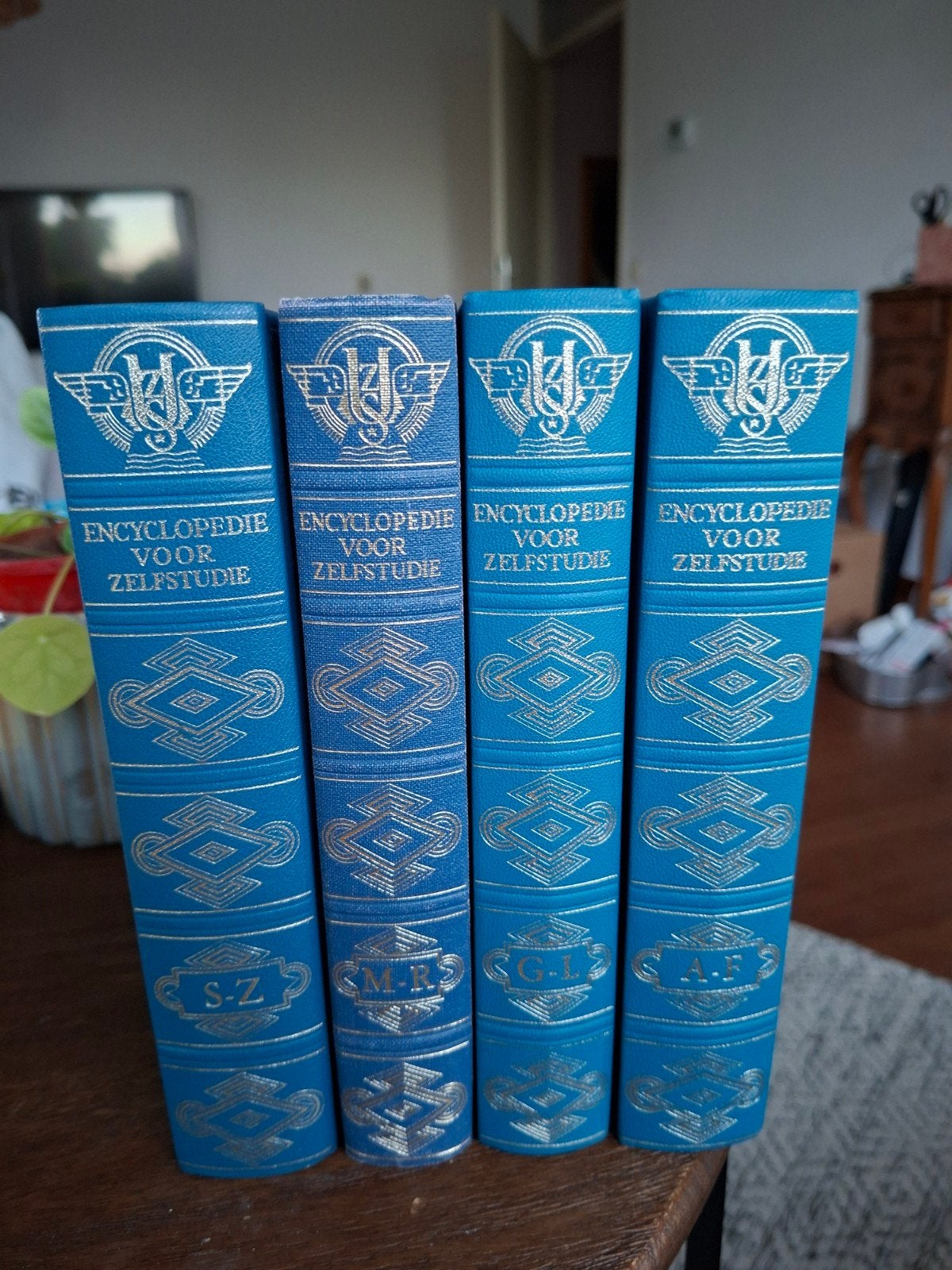 Encyclopedie voor Zelfstudie - Complete set (4 delen), Boeken, Ophalen of Verzenden, Gelezen, Algemeen, Complete serie