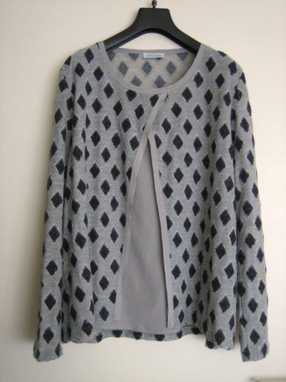Zeer exclusief grijs vestje GRAN SASSO 52 snazzeys, Kleding | Dames, Gran Sasso, Verzenden, Maat 46/48 (XL) of groter, Nieuw