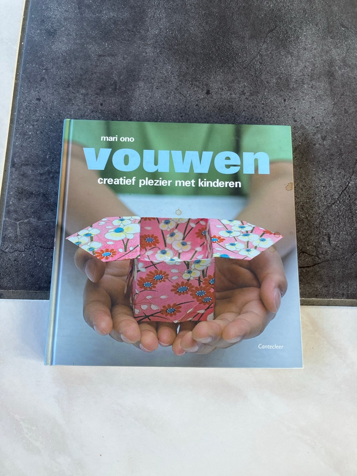 Vouwen: Creatief plezier met kinderen - Mari Ono, Boeken, Ophalen of Verzenden, Zo goed als nieuw, Scrapbooking en Knutselen, Geschikt voor kinderen